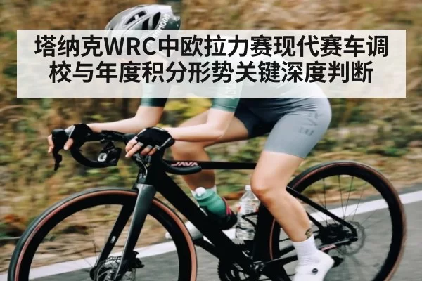 塔纳克WRC中欧拉力赛现代赛车调校与年度积分形势关键深度判断